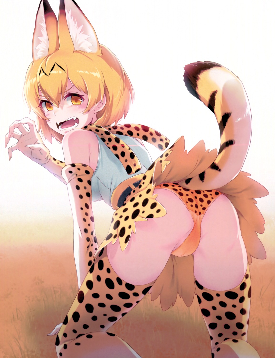 40hara animal_ears ass kemono_friends pantsu screening serval tail thighhighs