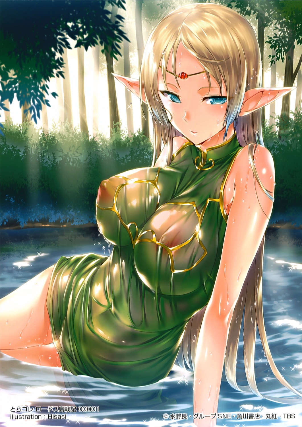 deedlit dress elf erect_nipples hisasi no_bra pointy_ears record_of_lodoss_war see_through wet wet_clothes