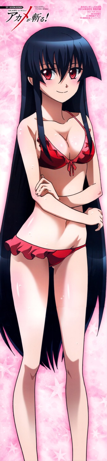 akame akame_ga_kill! bikini cleavage nakamura_kazuhisa swimsuits