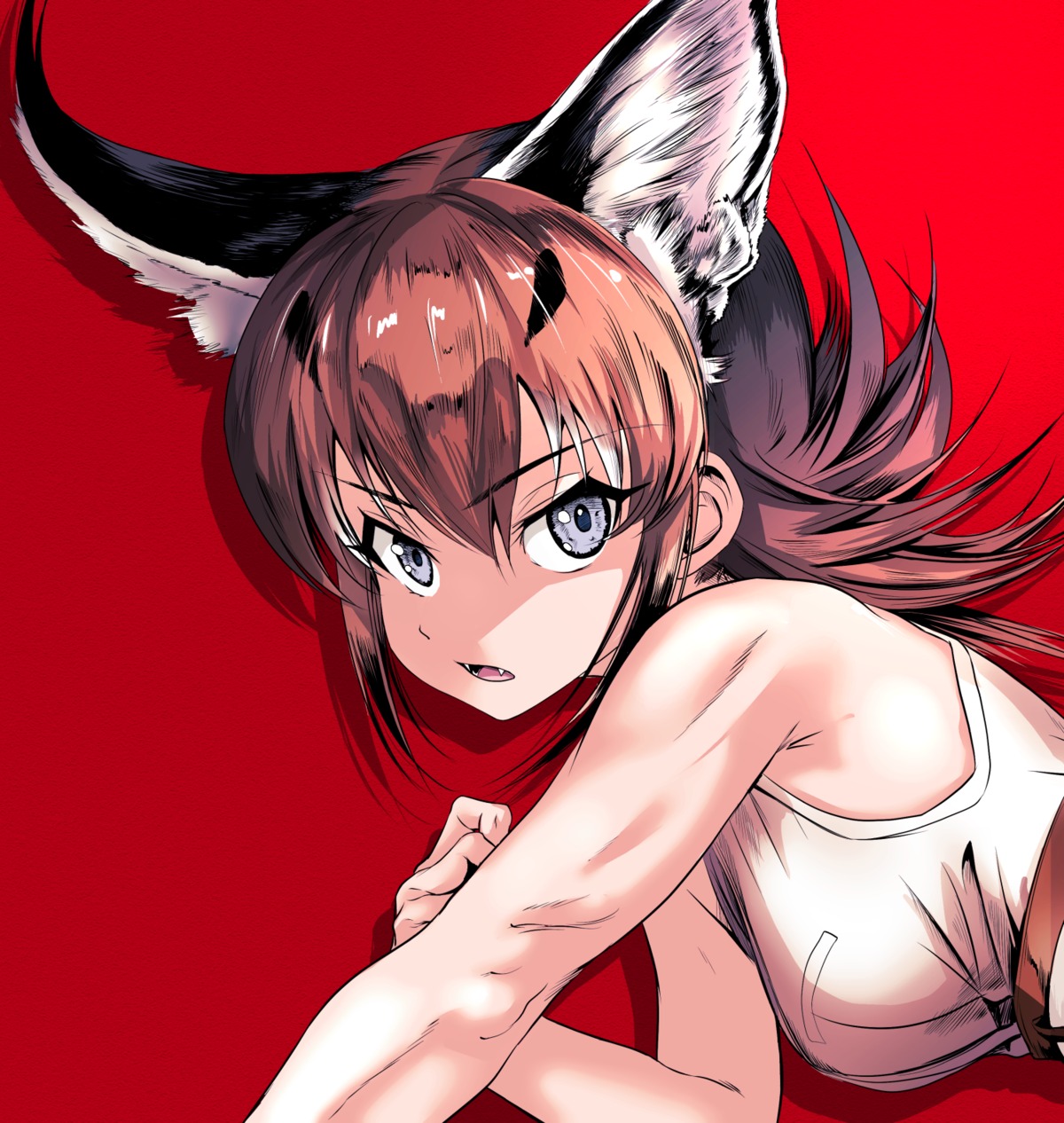 animal_ears caracal kemono_friends tagme