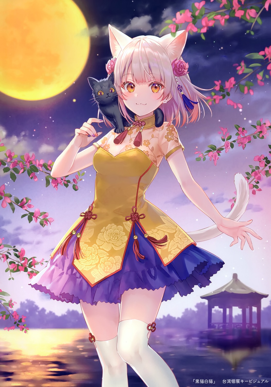 animal_ears asian_clothes fukahire_sanba neko nekomimi ruinon see_through tail thighhighs