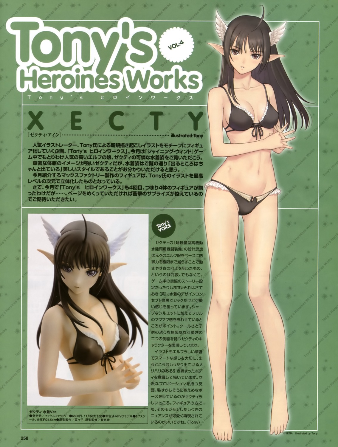 bikini cleavage elf pointy_ears shining_tears shining_wind shining_world swimsuits tony_taka xecty_ein