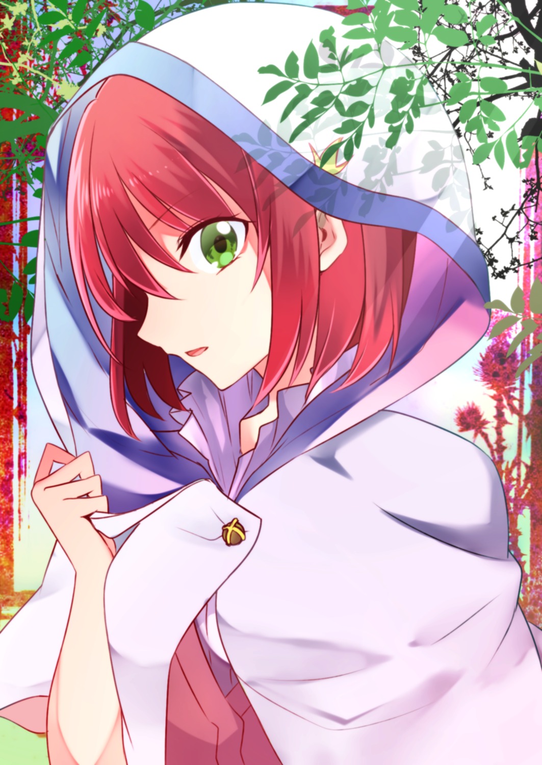 akagami_no_shirayukihime shirayuki_(akagami_no_shirayukihime) yuihiko