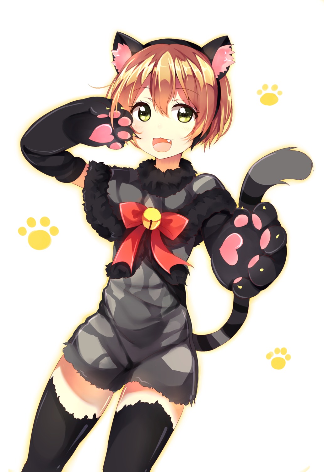 animal_ears dress hoshizora_rin love_live! nekomimi tail thighhighs tsukimi_(xiaohuasan)