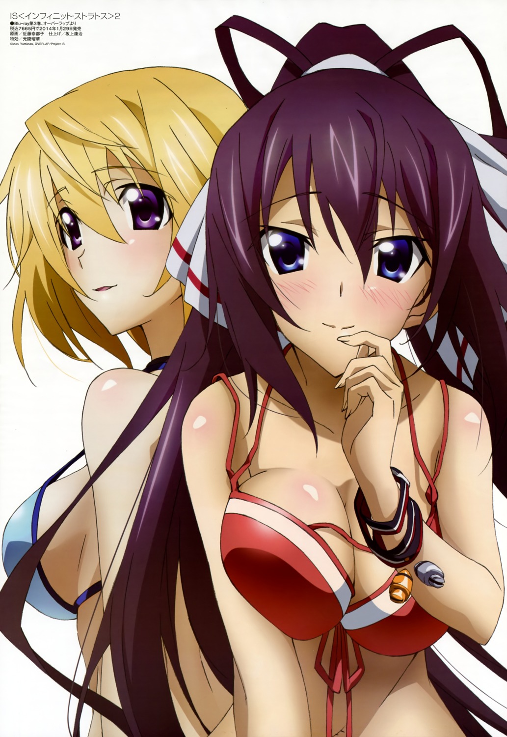 bikini charlotte_dunois cleavage infinite_stratos infinite_stratos_2 kondou_natsuko shinonono_houki swimsuits