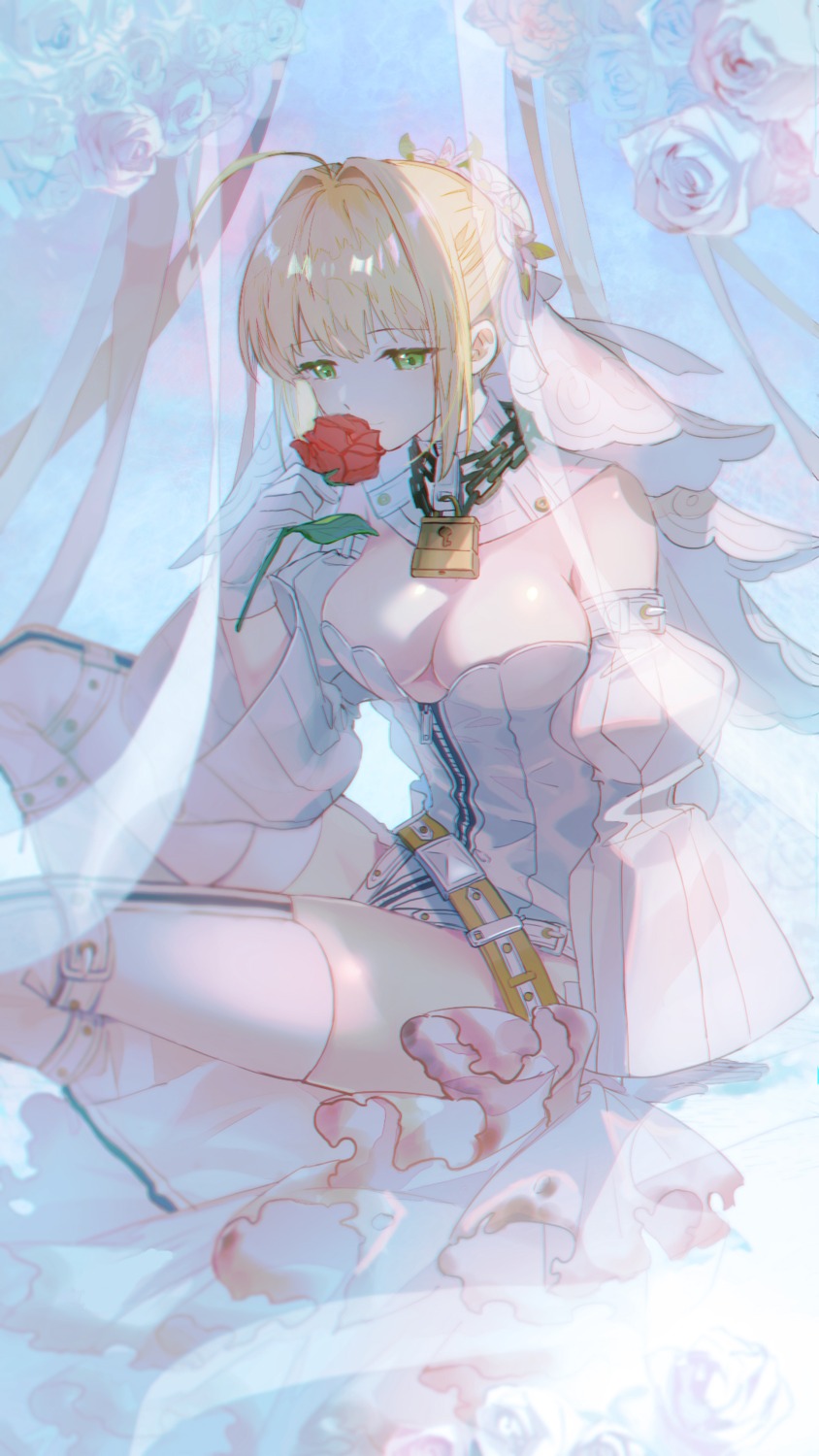 fate/extra fate/grand_order fate/stay_night no_bra saber_extra tagme thighhighs xuehua