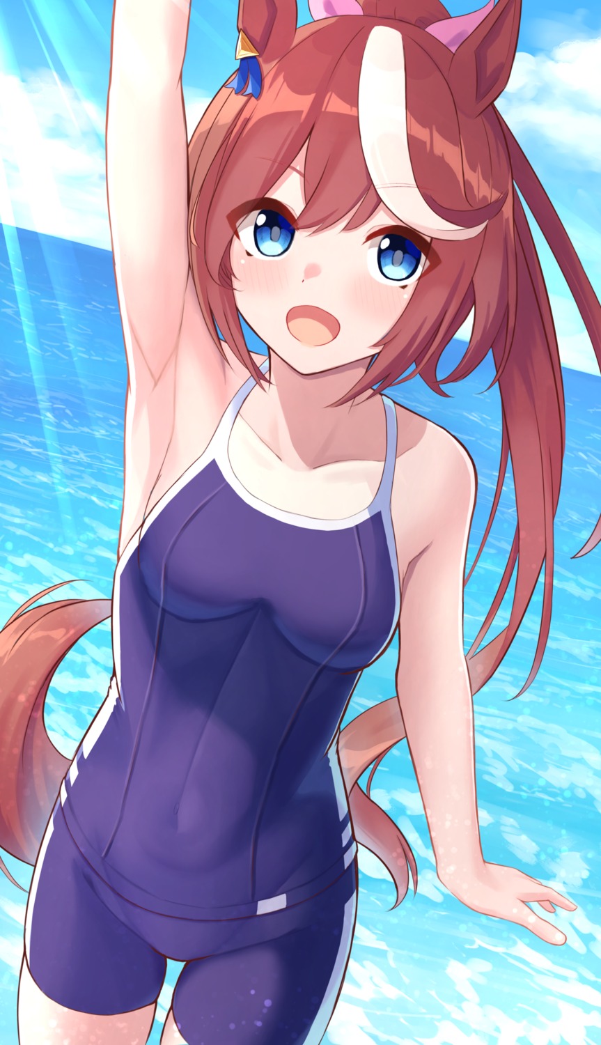 animal_ears mutenka_(plfgb) school_swimsuit swimsuits tail tokai_teio_(umamusume) uma_musume_pretty_derby