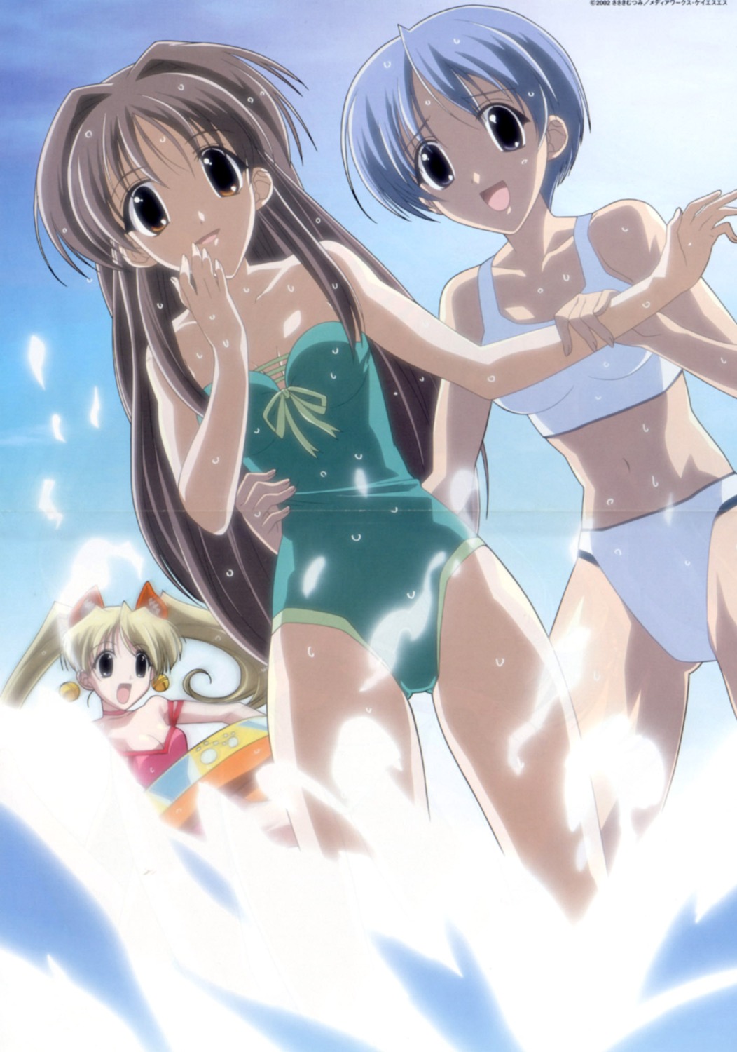 animal_ears bikini cleavage crease gokajou_satsuki happy_lesson ichimonji_mutsuki nekomimi shitennou_uzuki swimsuits wet