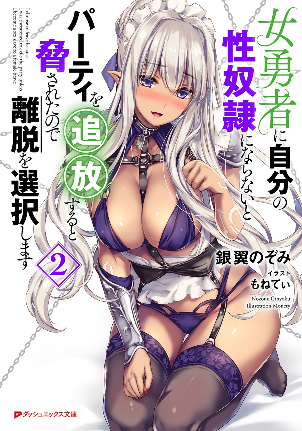 armor bra elf garter_belt maid monety open_shirt pantsu pointy_ears stockings thighhighs