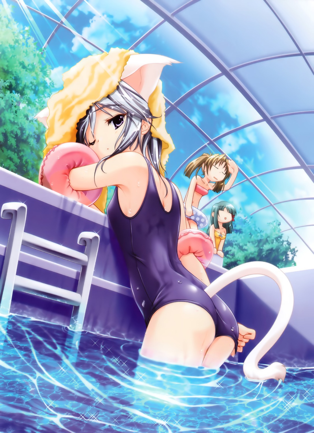 animal_ears azuma_ayami fujiwara_warawara natsushoujo nekomimi school_swimsuit serizawa_aki swimsuits tail wet yuuki_miyako