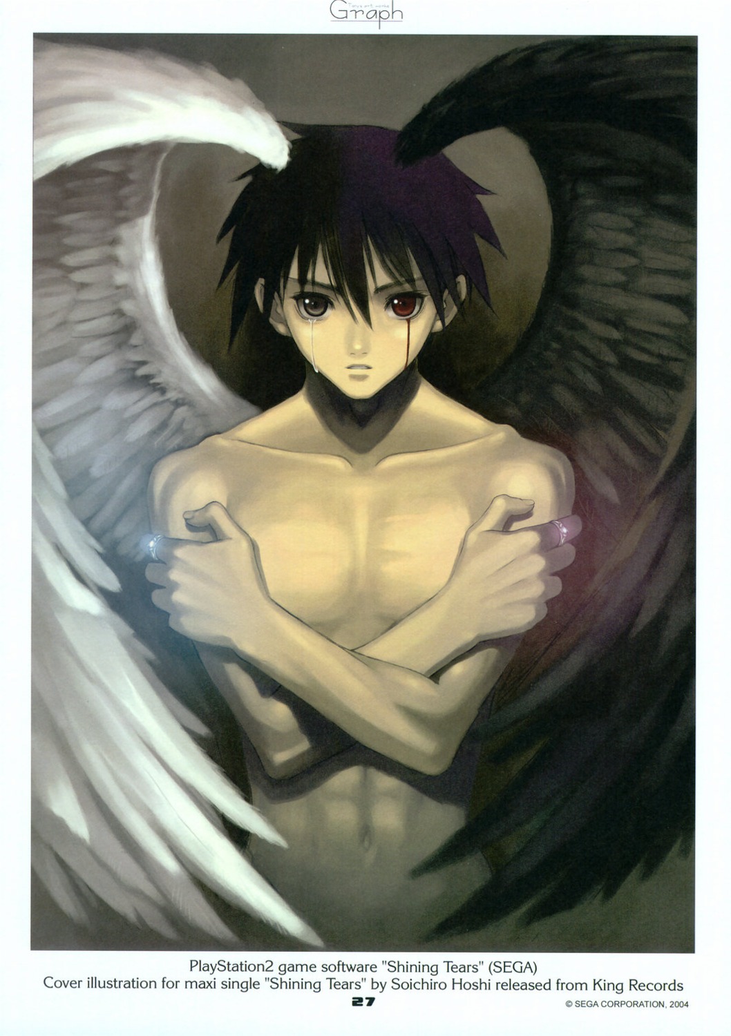 heterochromia male shining_tears shining_world tony_taka wings