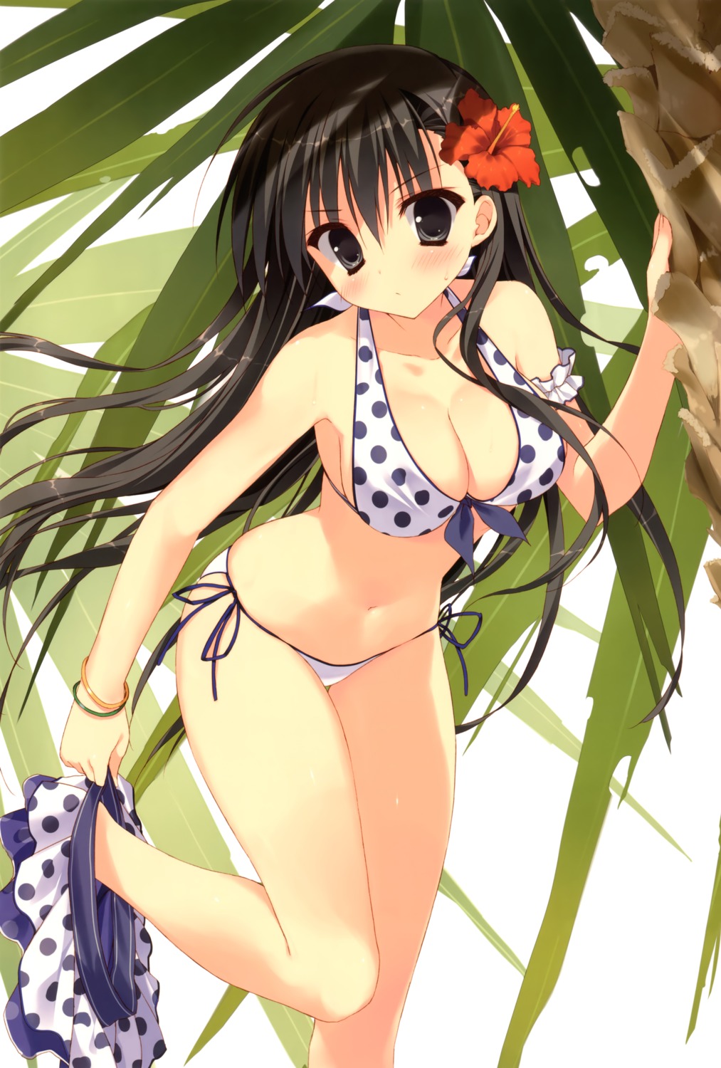 akiyoshi_fuyuka bikini cleavage feng kanojo_no_seiiki ryohka swimsuits