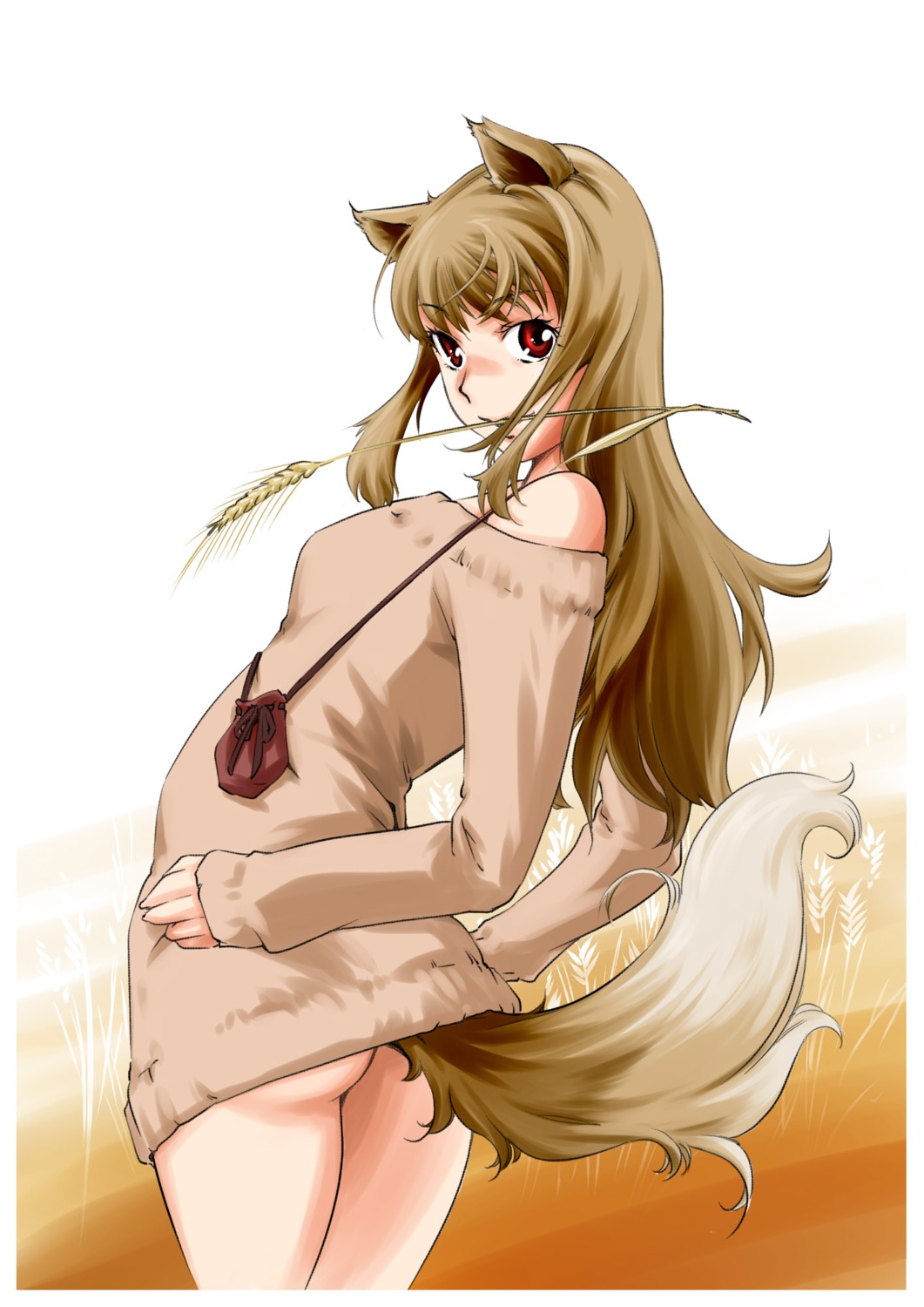 animal_ears ass bottomless holo saitou_sakae spice_and_wolf sweater tail
