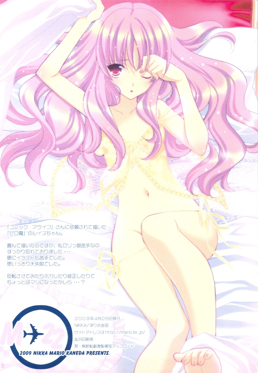 lingerie louise mario_kaneda nikka zero_no_tsukaima