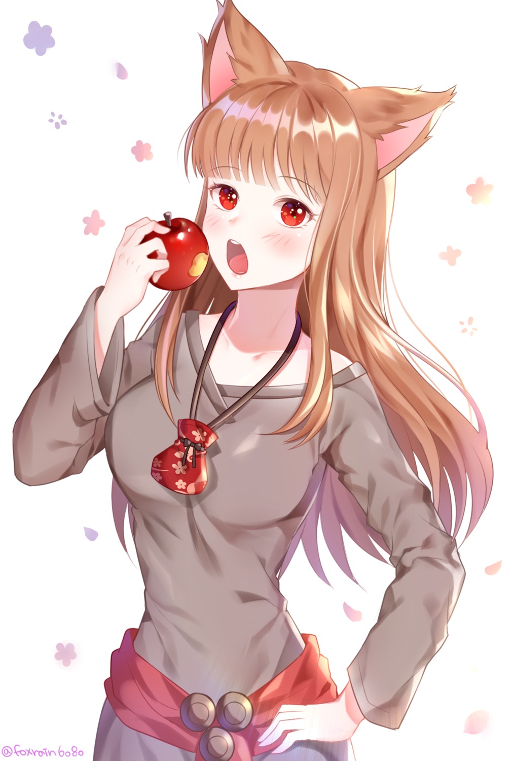 animal_ears holo spice_and_wolf woobi