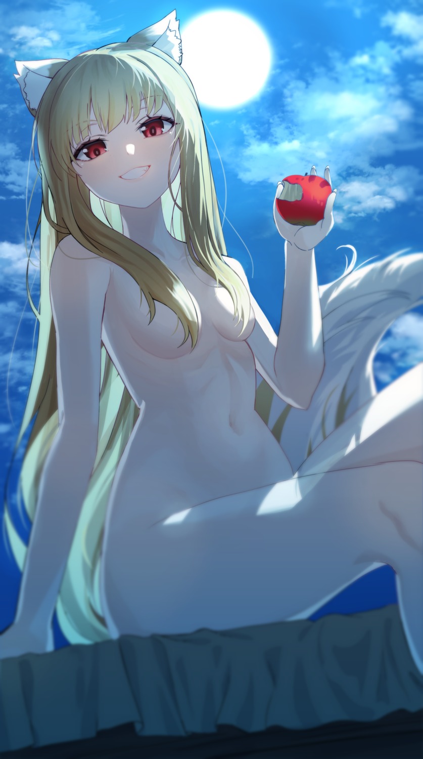 animal_ears holo leegh19769 loli naked spice_and_wolf tail