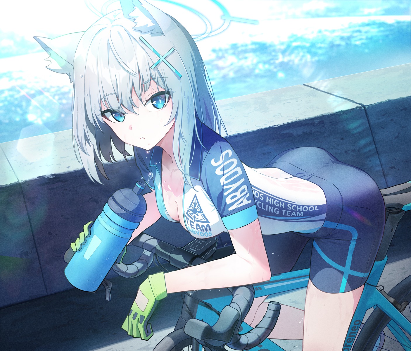 animal_ears bike_shorts blue_archive halo nekomimi sunaookami_shiroko vikpie