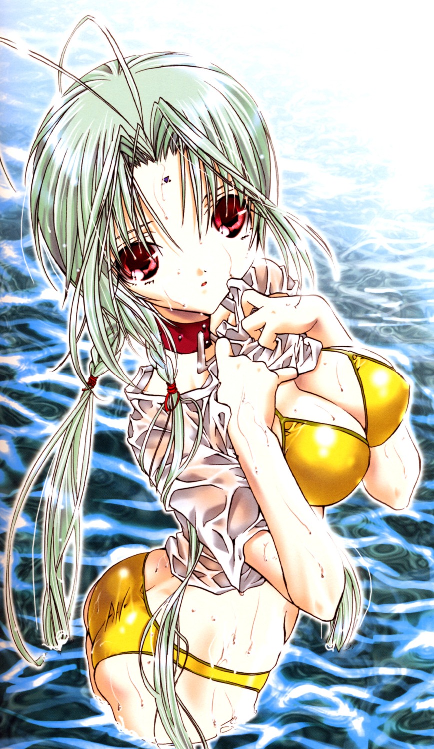 bikini cleavage dears ren_(dears) see_through shirt_lift swimsuits wet wet_clothes