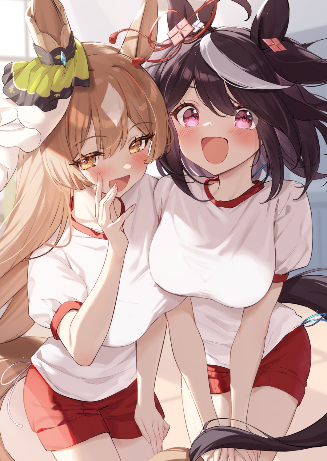 animal_ears gym_uniform kitasan_black_(umamusume) saboten_mushi satono_diamond_(umamusume) tail uma_musume_pretty_derby