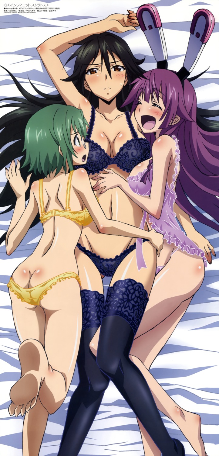 bra cleavage feet furukawa_hiroyuki infinite_stratos lingerie orimura_chifuyu pantsu shinonono_tabane stick_poster thighhighs yamada_maya