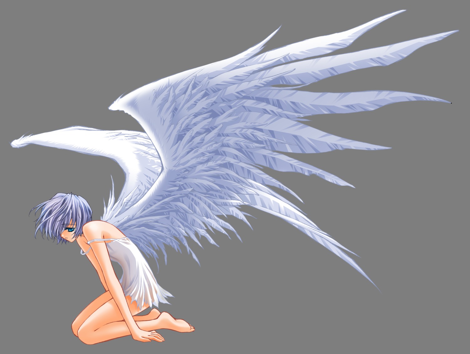 carnelian transparent_png wings