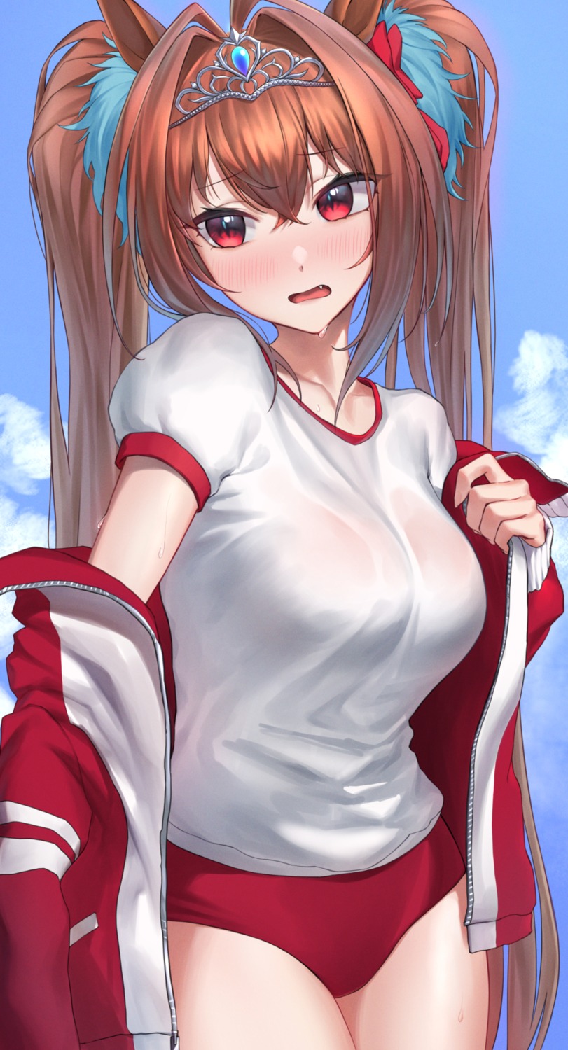 animal_ears buruma daiwa_scarlet_(umamusume) gym_uniform monegi see_through tail uma_musume_pretty_derby undressing