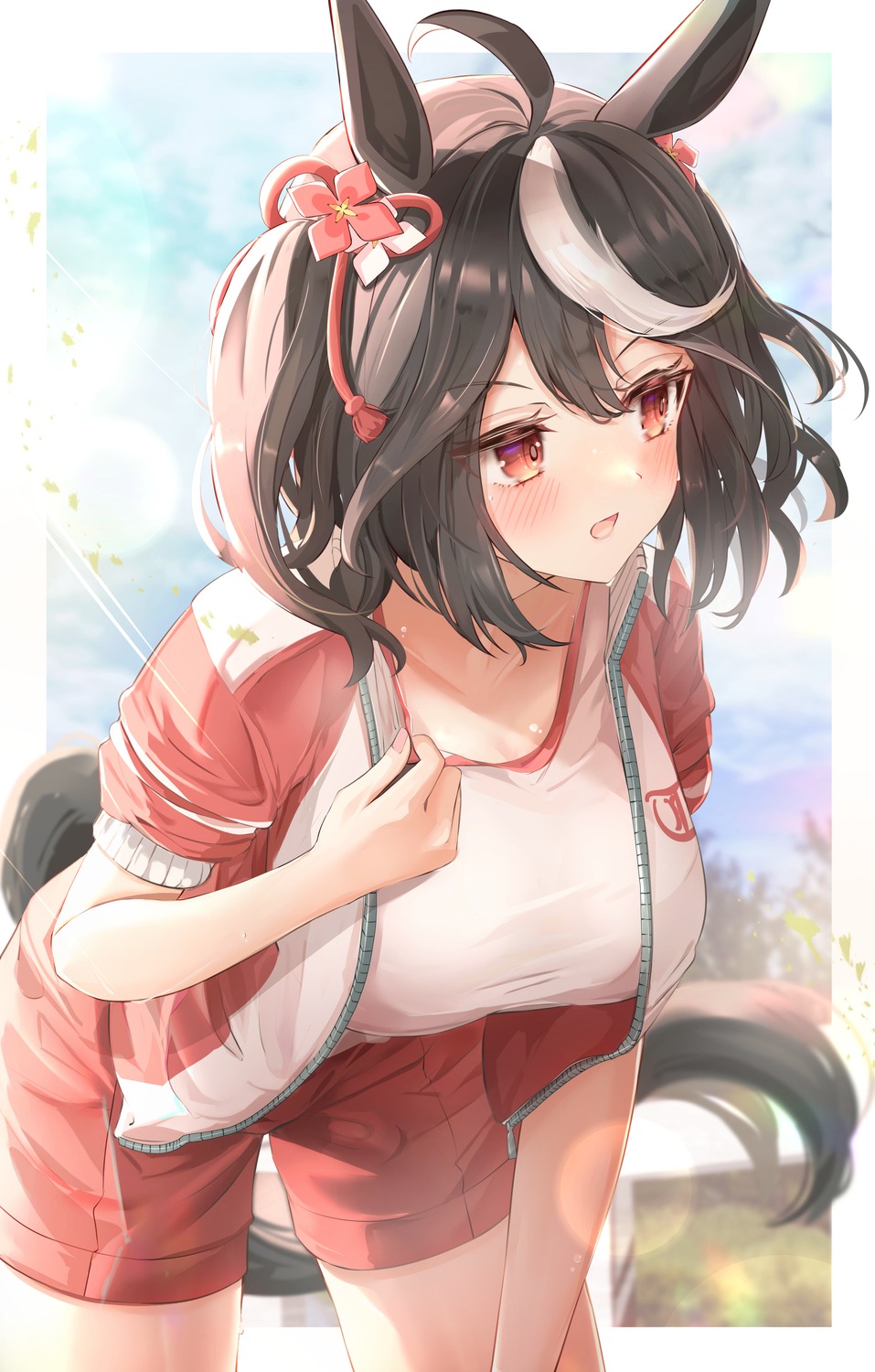 animal_ears gym_uniform kitasan_black_(umamusume) sky_cappuccino tail uma_musume_pretty_derby