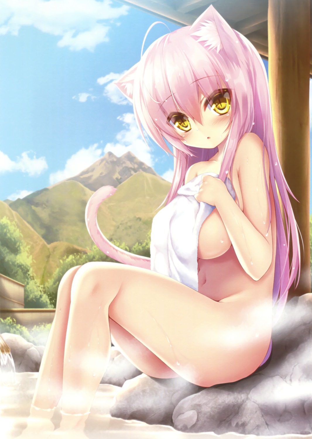animal_ears bathing breast_hold naked nekomimi onsen syroh tail towel wet