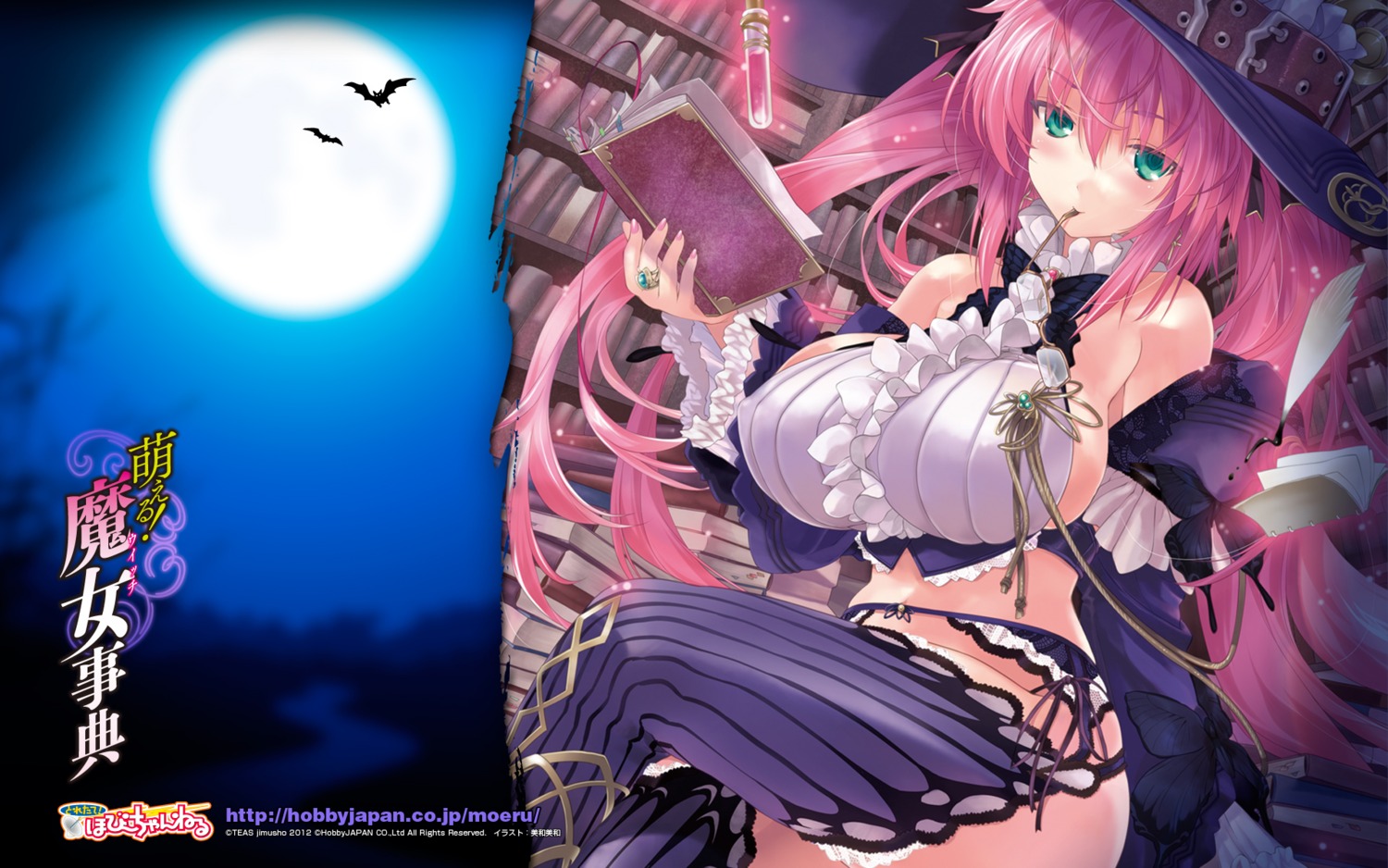 erect_nipples garter_belt miwa_yoshikazu pantsu stockings string_panties thighhighs wallpaper witch