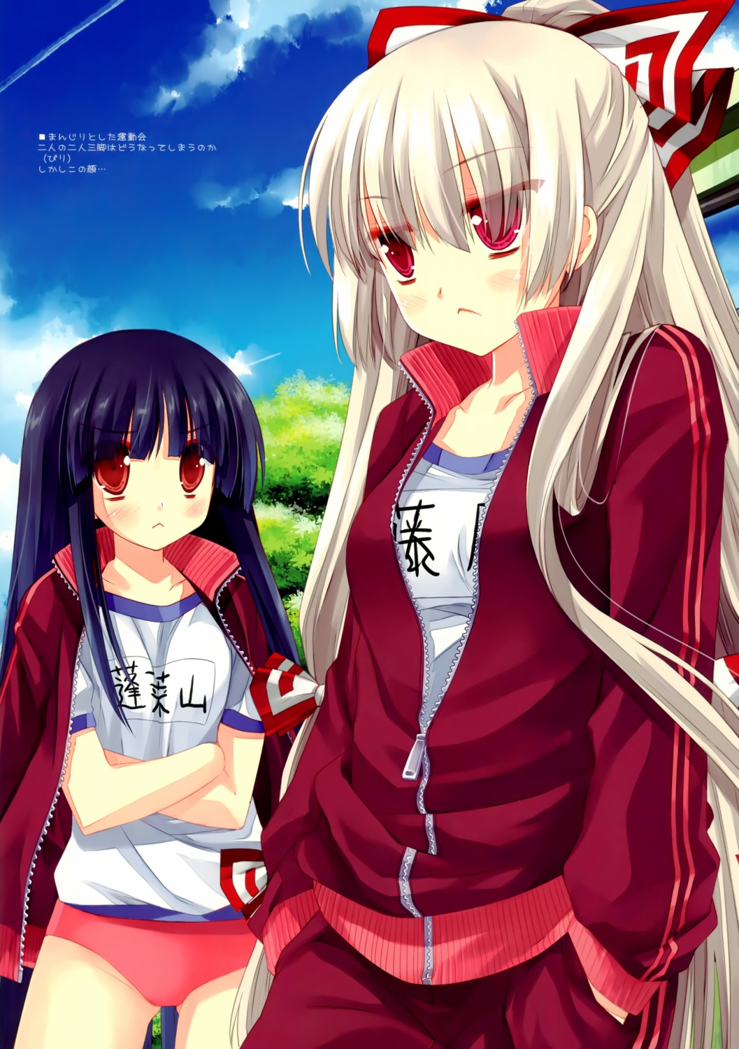 buruma d.n.a.lab fujiwara_no_mokou gym_uniform houraisan_kaguya miyasu_risa touhou