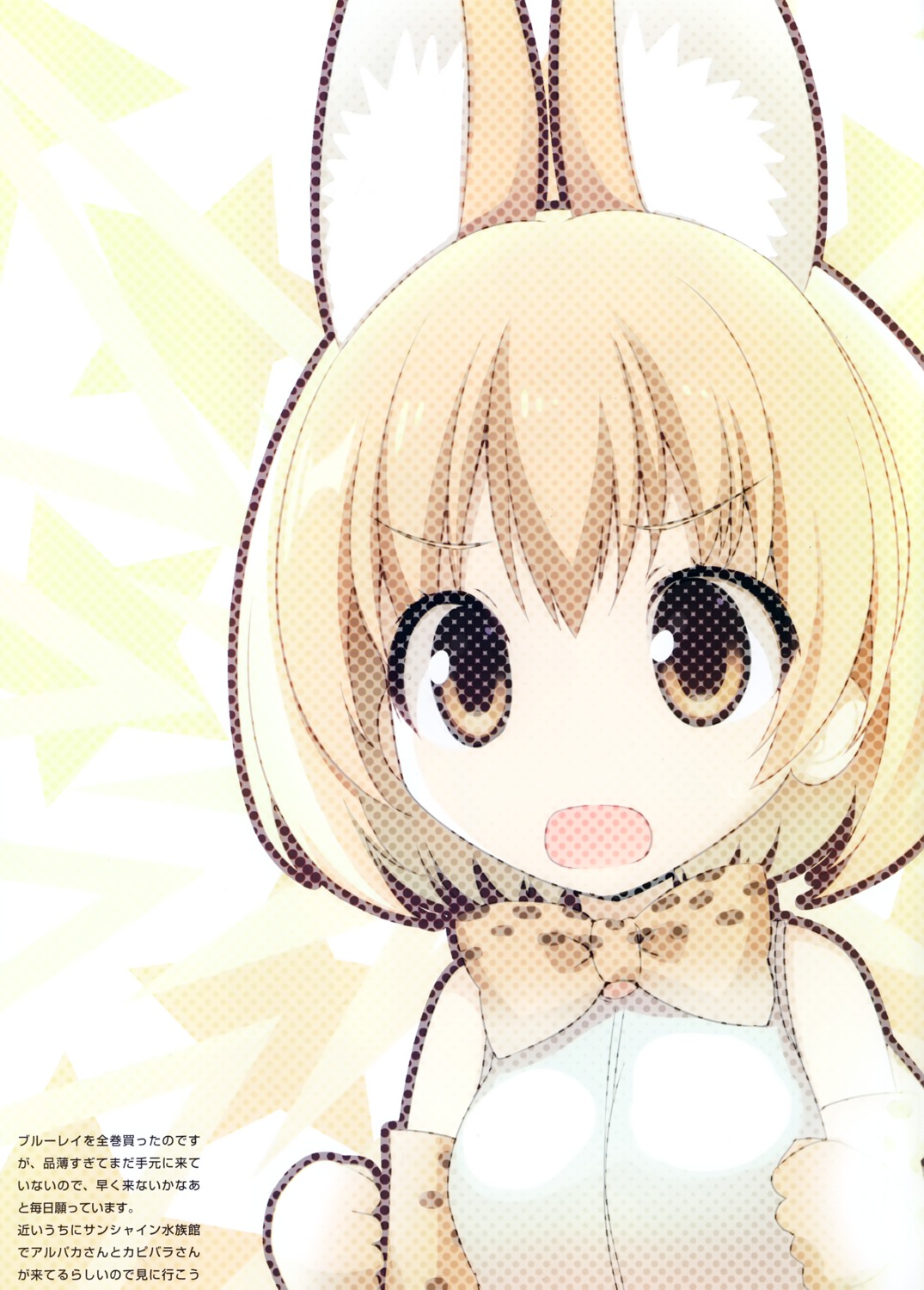 karomix karory kemono_friends serval