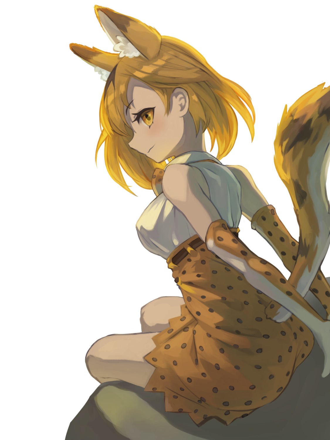 animal_ears kemono_friends serval tagme tail