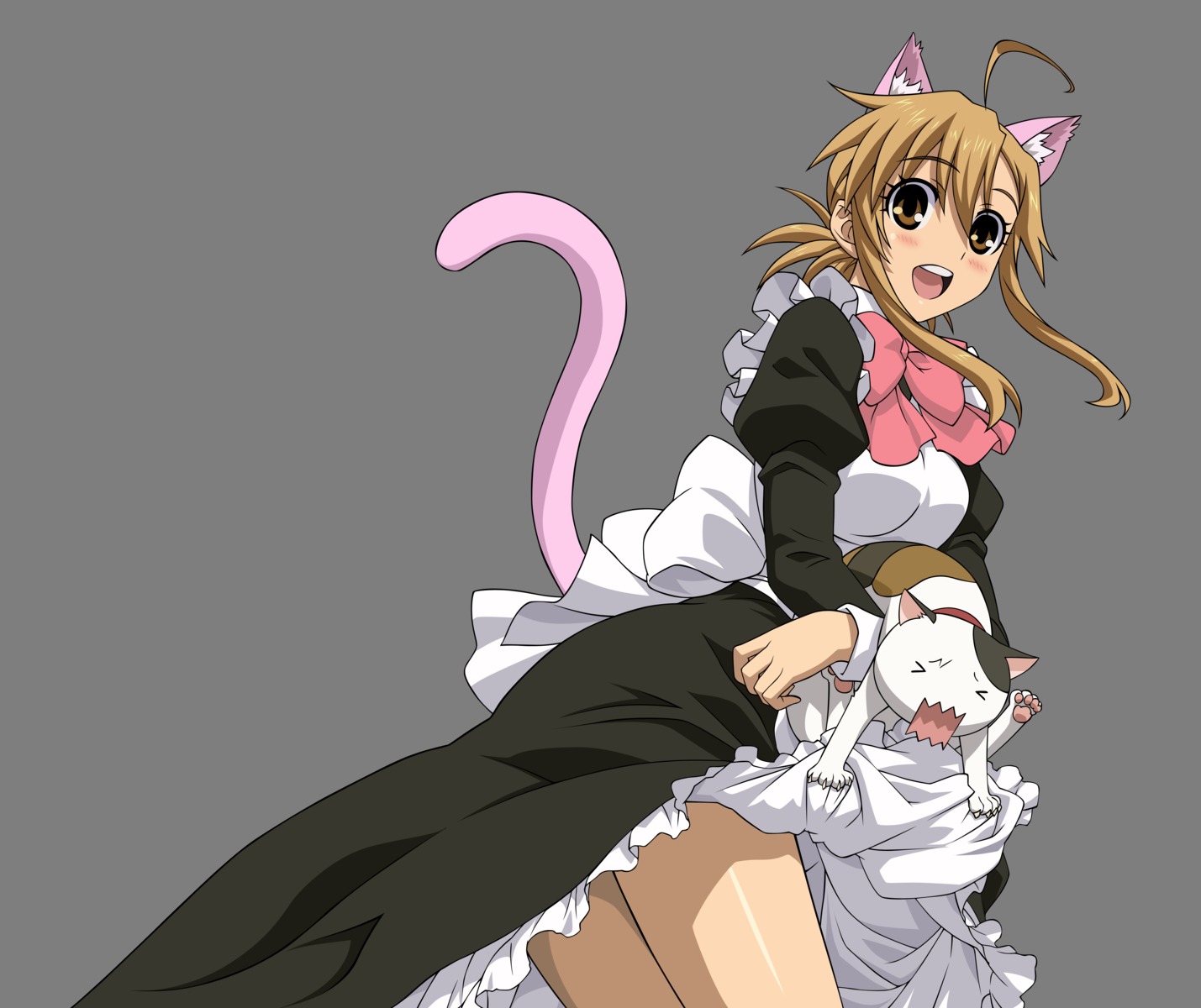 animal_ears maid mizuno_kaede neko nekomimi nyan_koi skirt_lift tail tama_(nyan_koi) transparent_png vector_trace