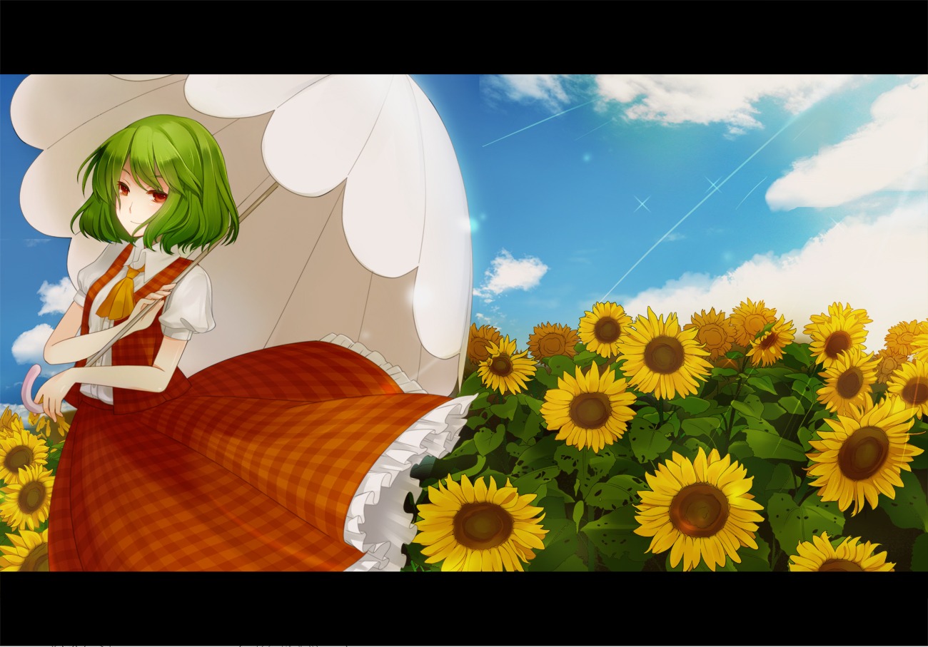 hanacco kazami_yuuka touhou