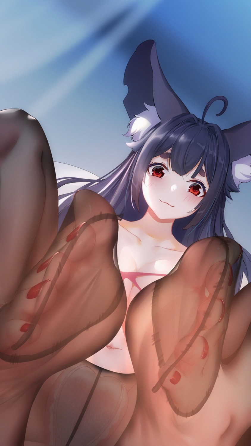 animal_ears cameltoe feet hong_bai no_bra pantsu pantyhose torn_clothes