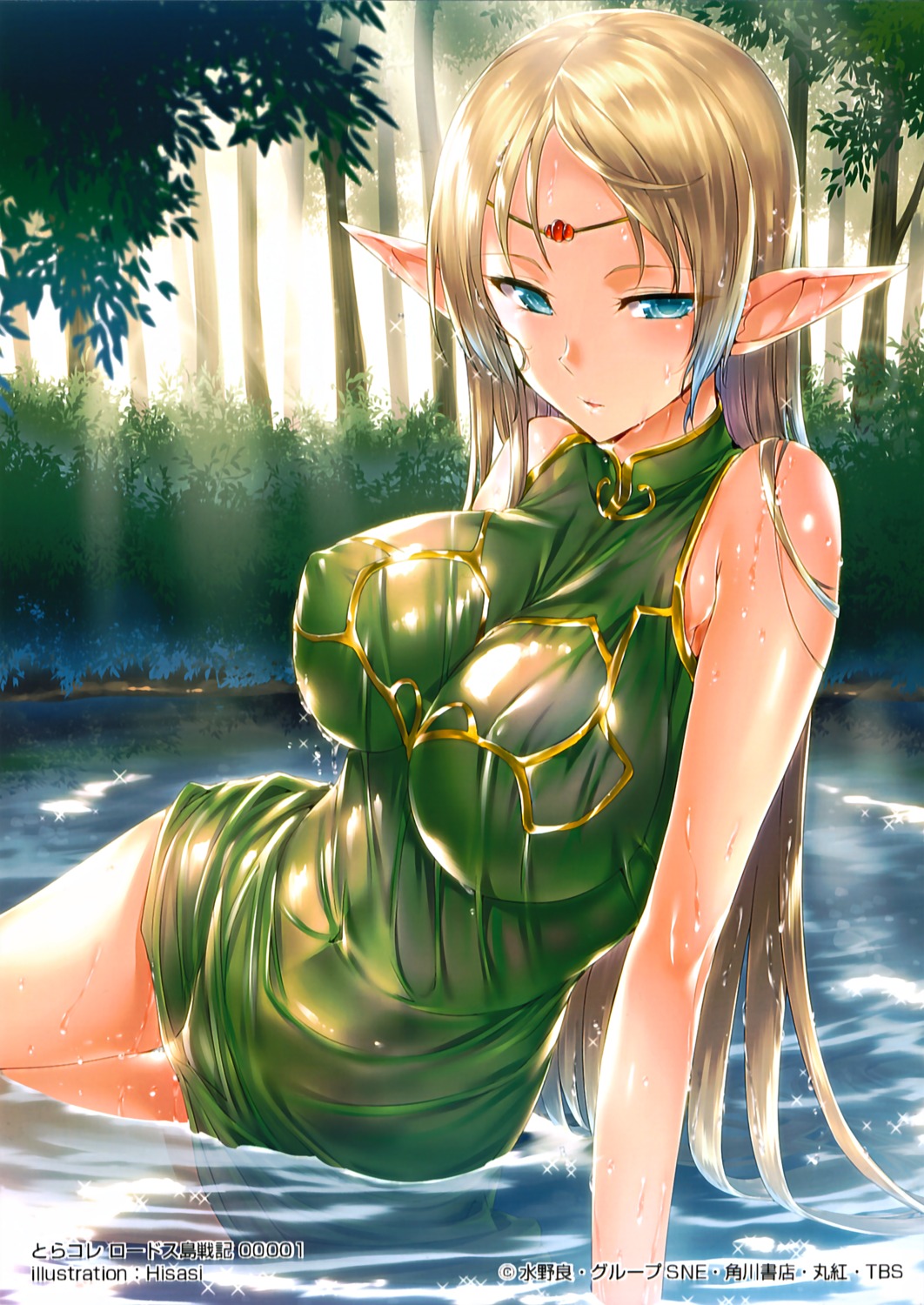 deedlit elf erect_nipples hisasi no_bra pointy_ears record_of_lodoss_war see_through wet wet_clothes