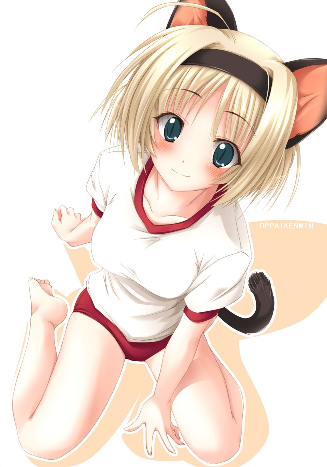 animal_ears gym_uniform nekomimi oppai_kenmin