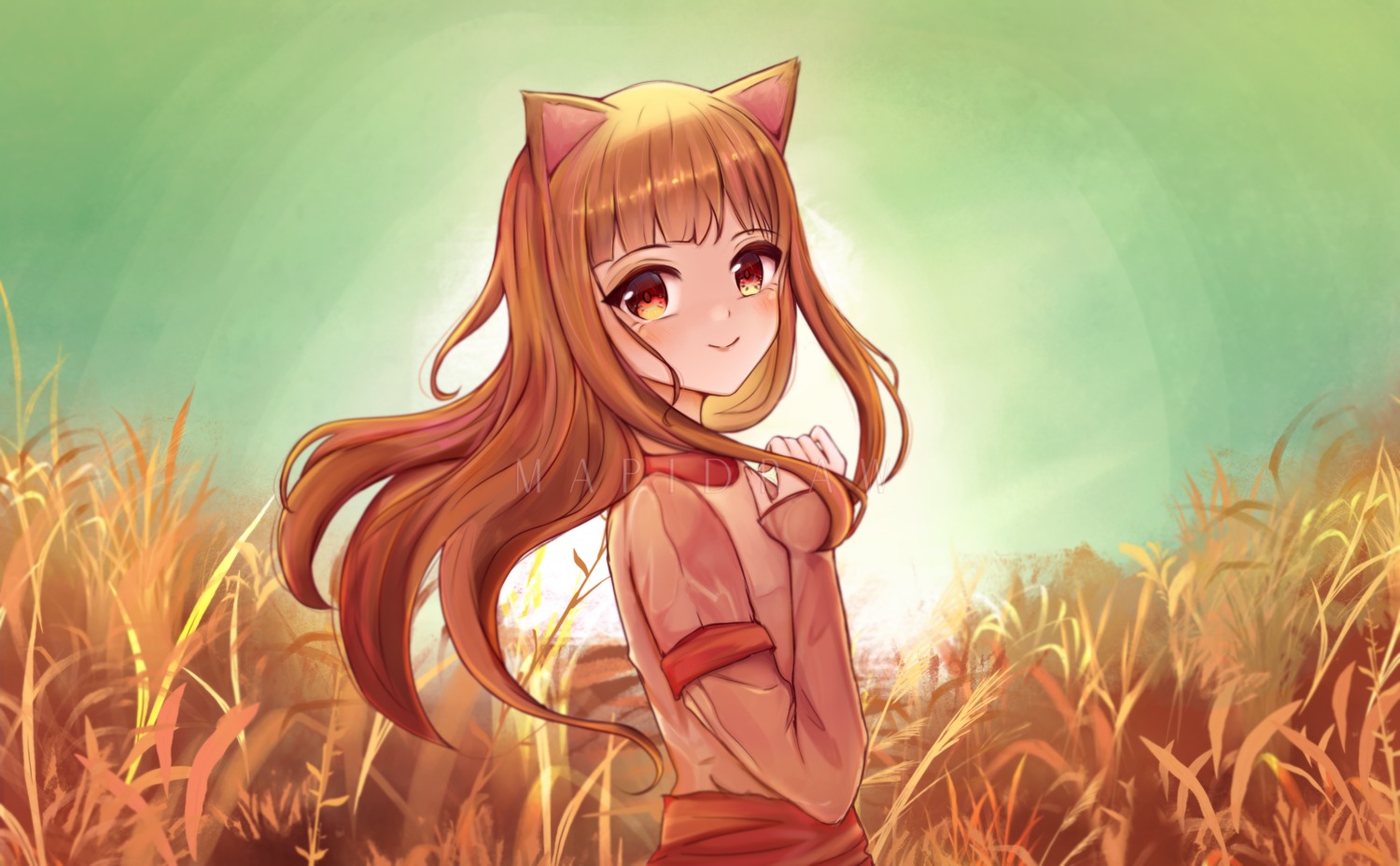 animal_ears holo mapidraw spice_and_wolf