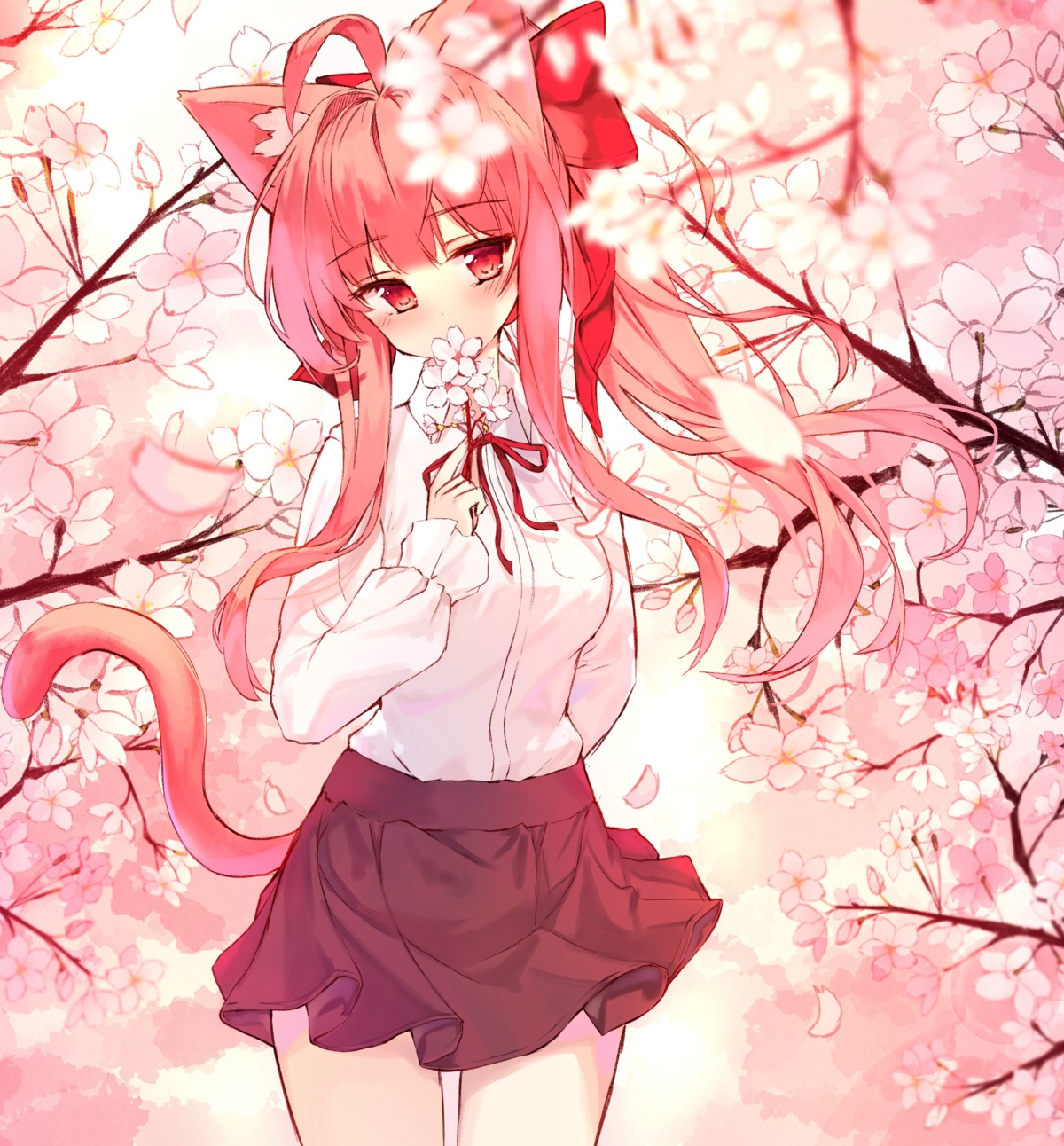 animal_ears nekomimi tail tandohark