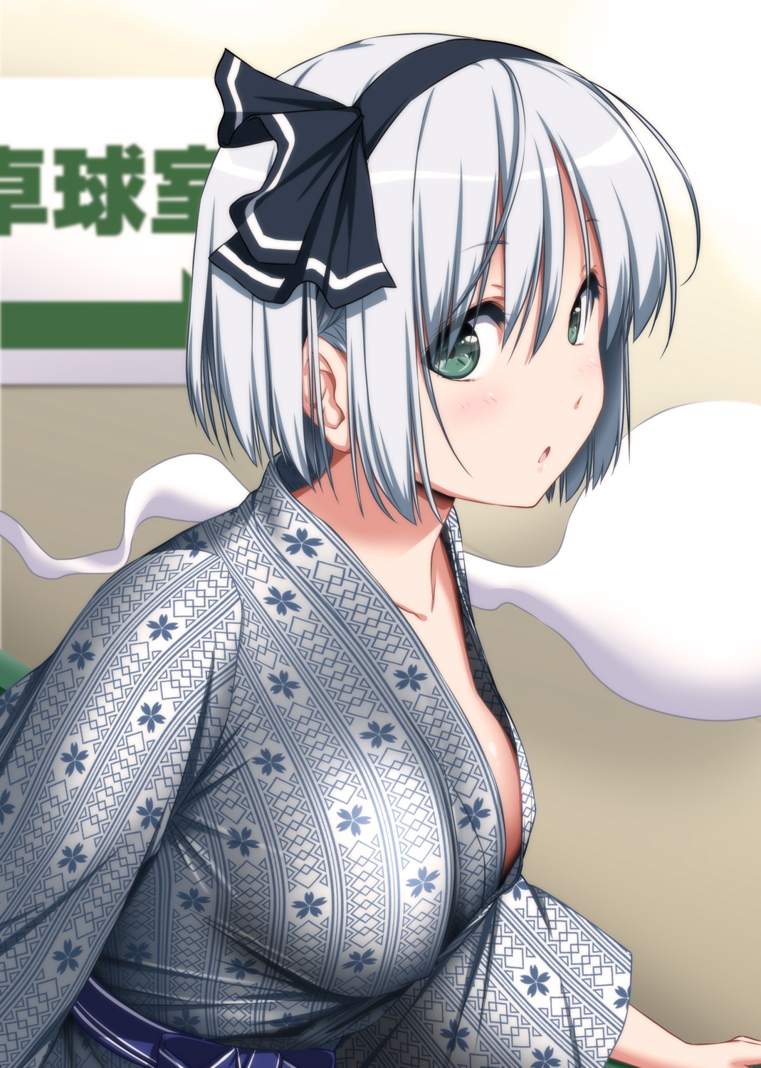 konpaku_youmu myon no_bra nori_tamago open_shirt touhou yukata