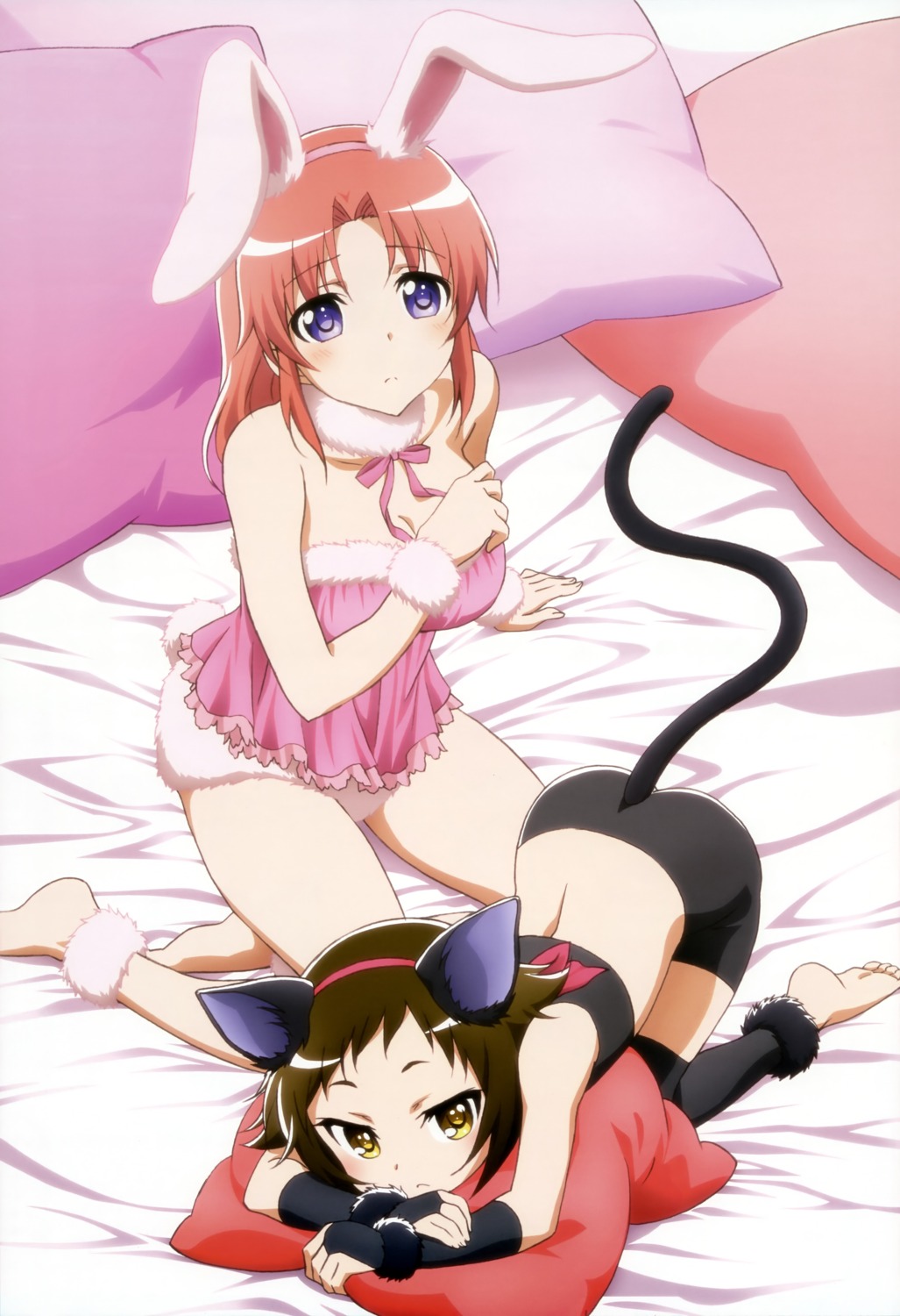 animal_ears bunny_ears cleavage kikuchi_ai lingerie mikakunin_de_shinkoukei mitsumine_mashiro nekomimi tail yonomori_kobeni