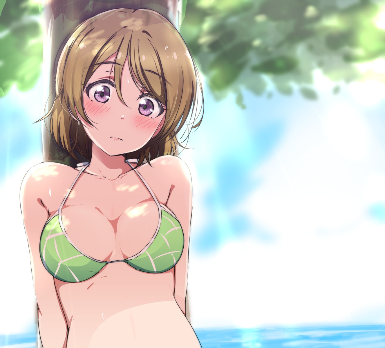 ankoiri bikini_top cleavage koizumi_hanayo love_live! swimsuits