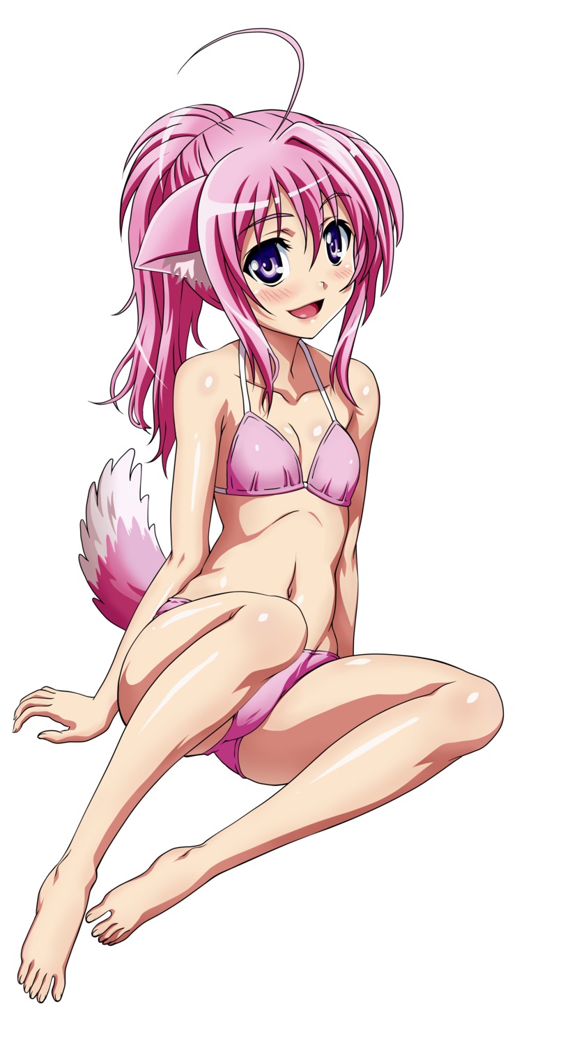 animal_ears bikini cameltoe cleavage dog_days feet ishiyama_hiroshi millhiore_f_biscotti swimsuits tail