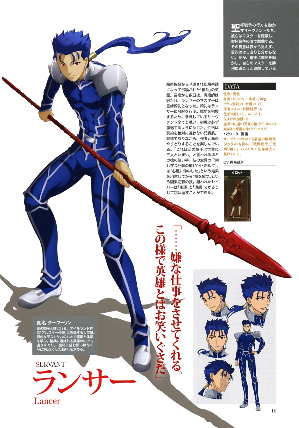 fate/stay_night lancer weapon