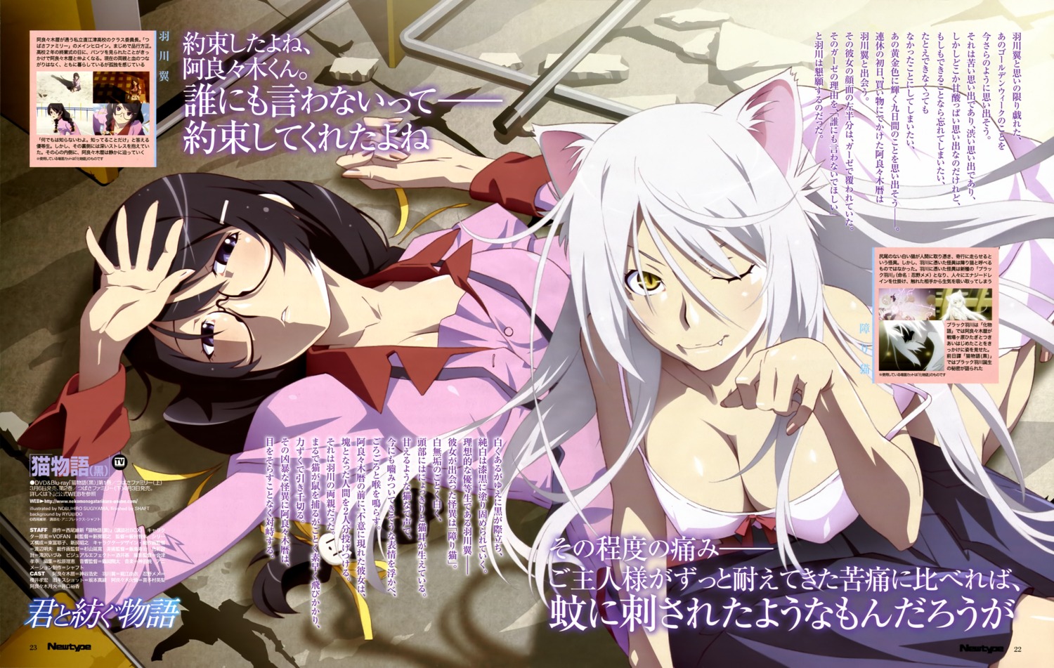 animal_ears bakemonogatari black_hanekawa cleavage hanekawa_tsubasa megane monogatari_(series) nekomimi nekomonogatari sugiyama_nobuhiro