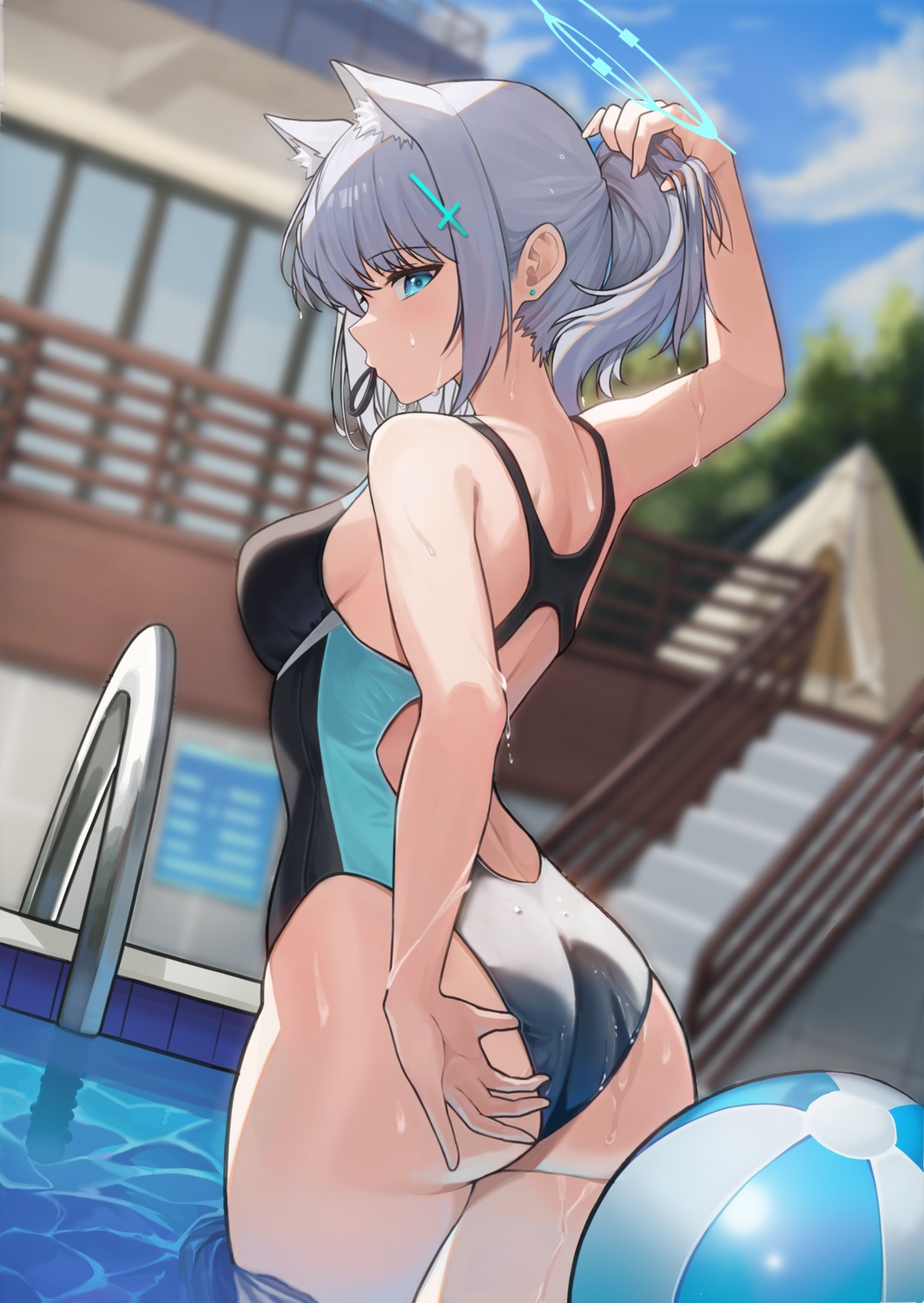 animal_ears ass blue_archive halo kookie nekomimi sunaookami_shiroko swimsuits wet