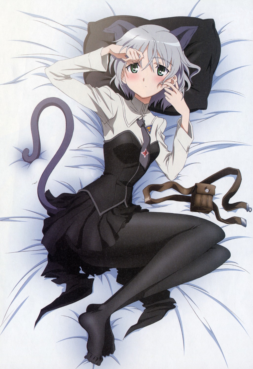 animal_ears bleed_through nekomimi pantyhose paper_texture sanya_v_litvyak strike_witches tail