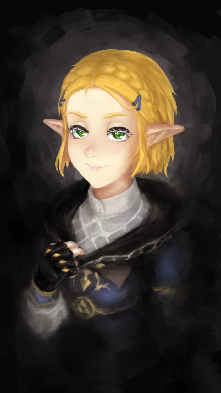 elf linyot pointy_ears princess_zelda the_legend_of_zelda