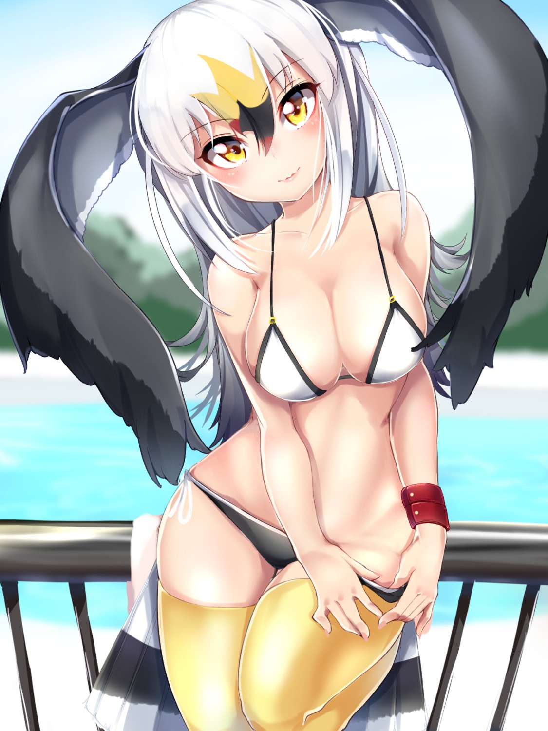 bikini kemono_friends kinou_no_shika panty_pull swimsuits thighhighs undressing wings