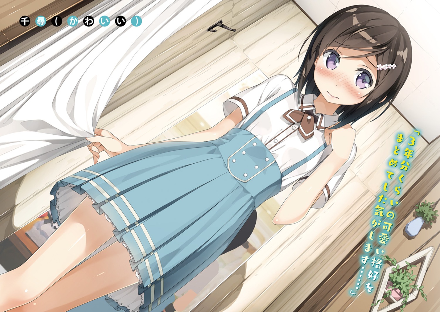 hashima_chihiro imouto_sae_ireba_ii. kantoku